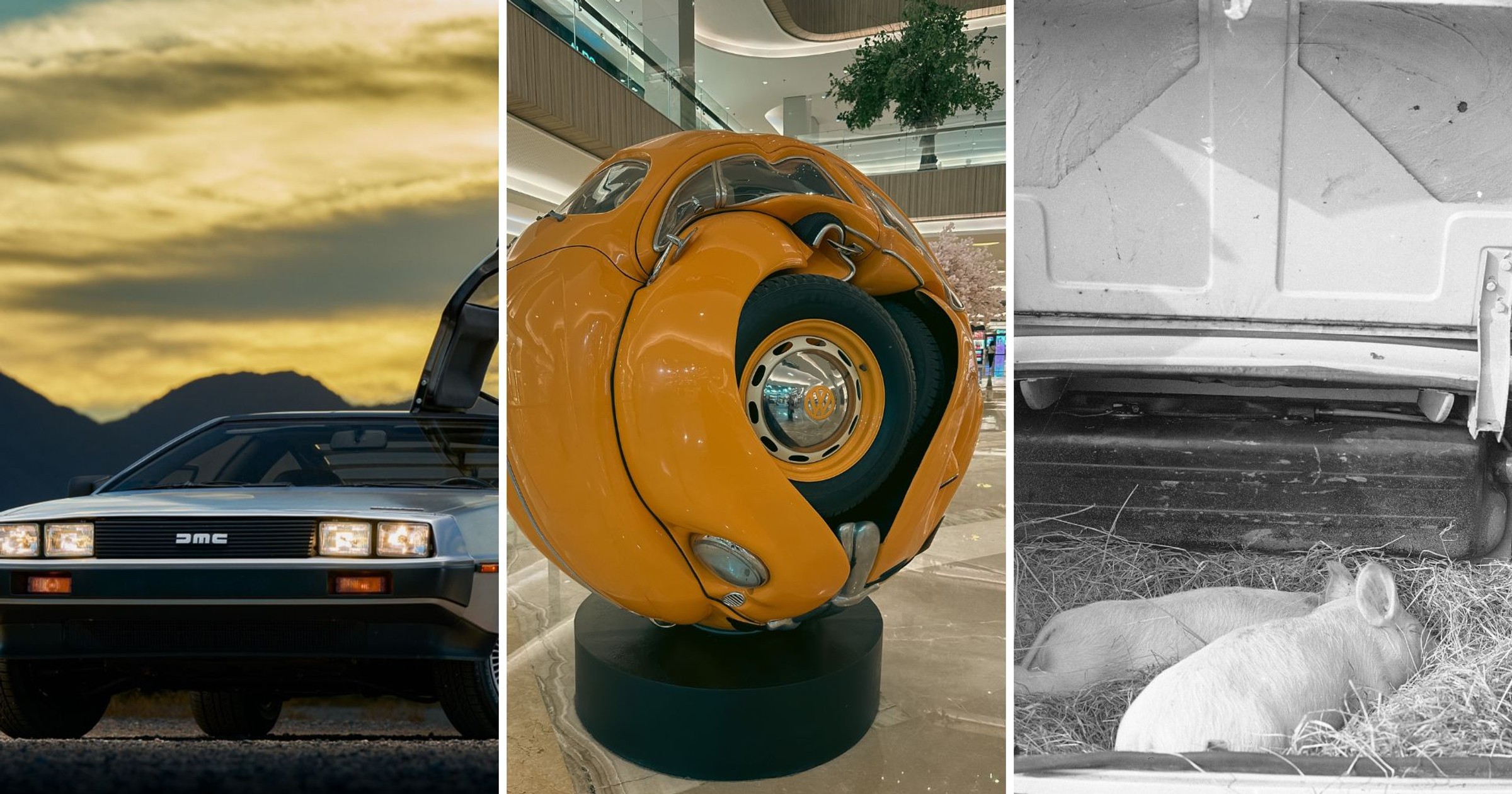 Z tym quizem nawet najwięksi automaniacy nie mają szans. 14/15 nie do zdobycia [fot. Shutterstock/WikeSandra, NAC]