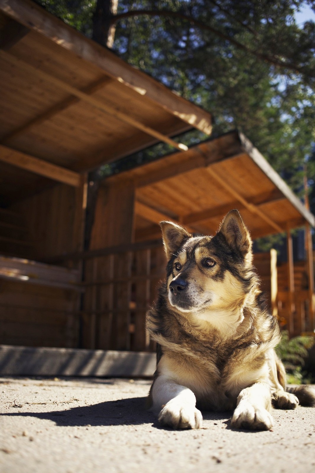 Nowa Mazda 3 na Syberii