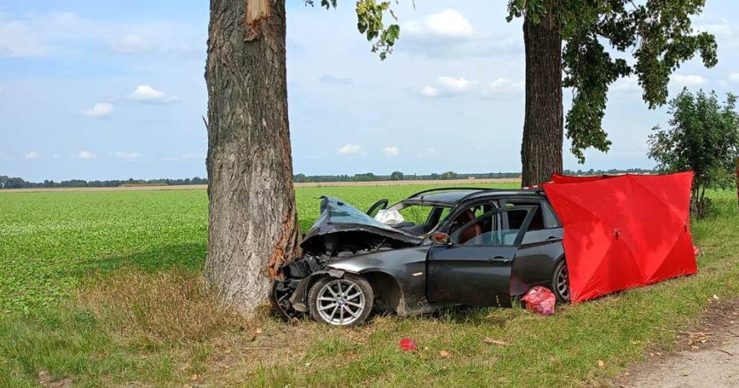 BMW na prostym odcinku drogi zjechało na pobocze i uderzyło w drzewo. Policjanci szukają świadków