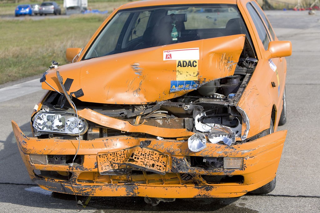 Zwierzę w starciu z autem