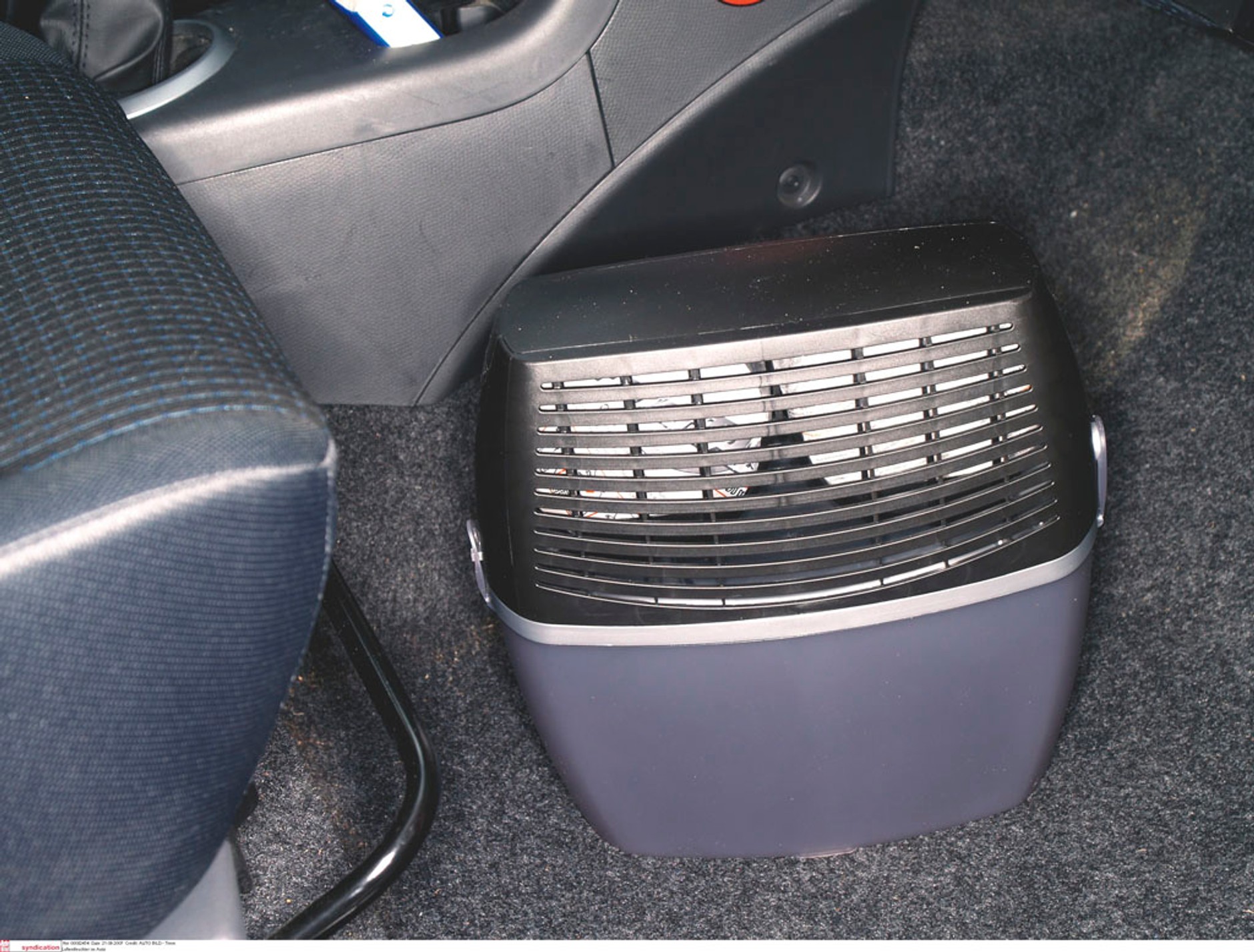 Jak usunąć pleśń z wnętrza auta?