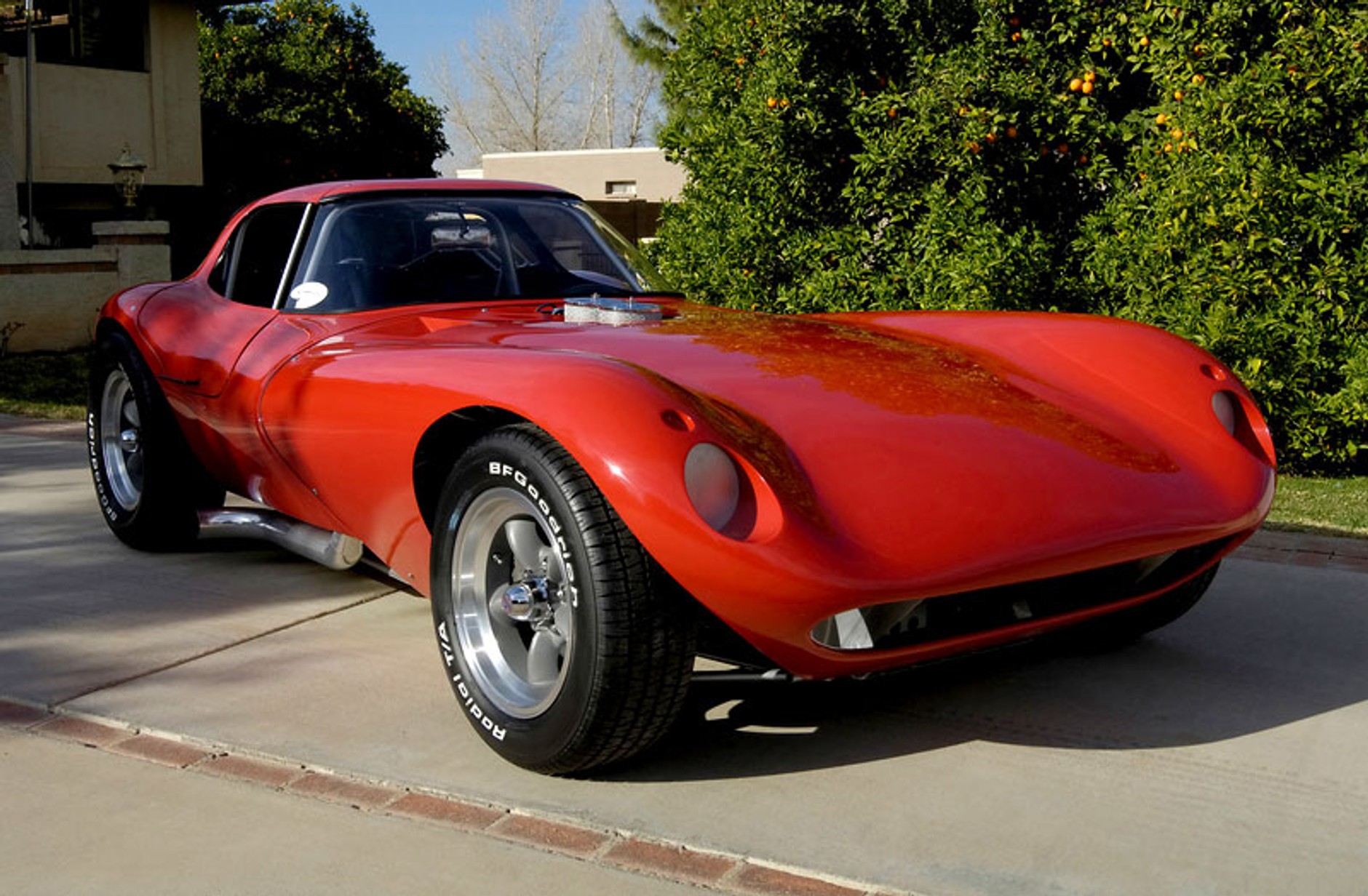 Gepard atakuje Cobrę