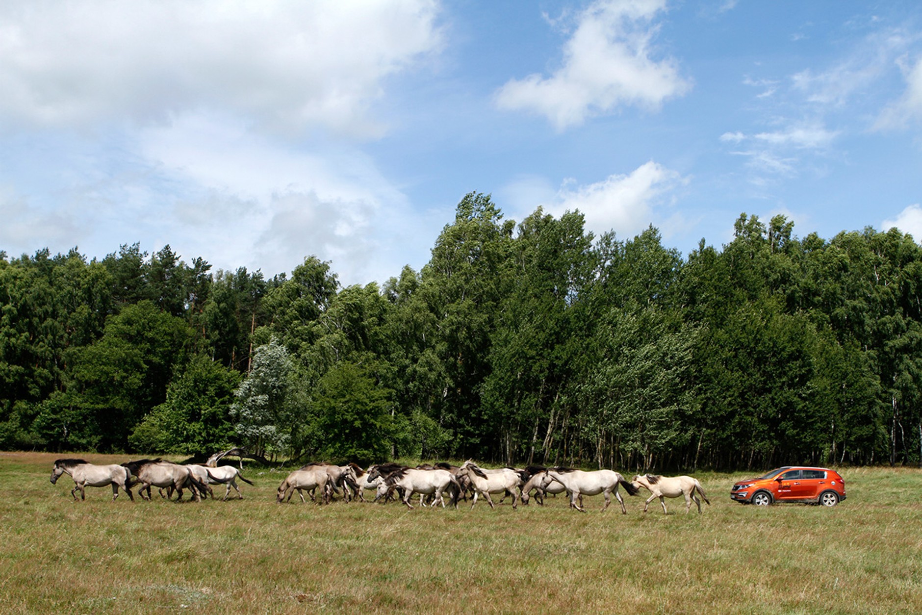 4x4 Family Adventure Kołobrzeg