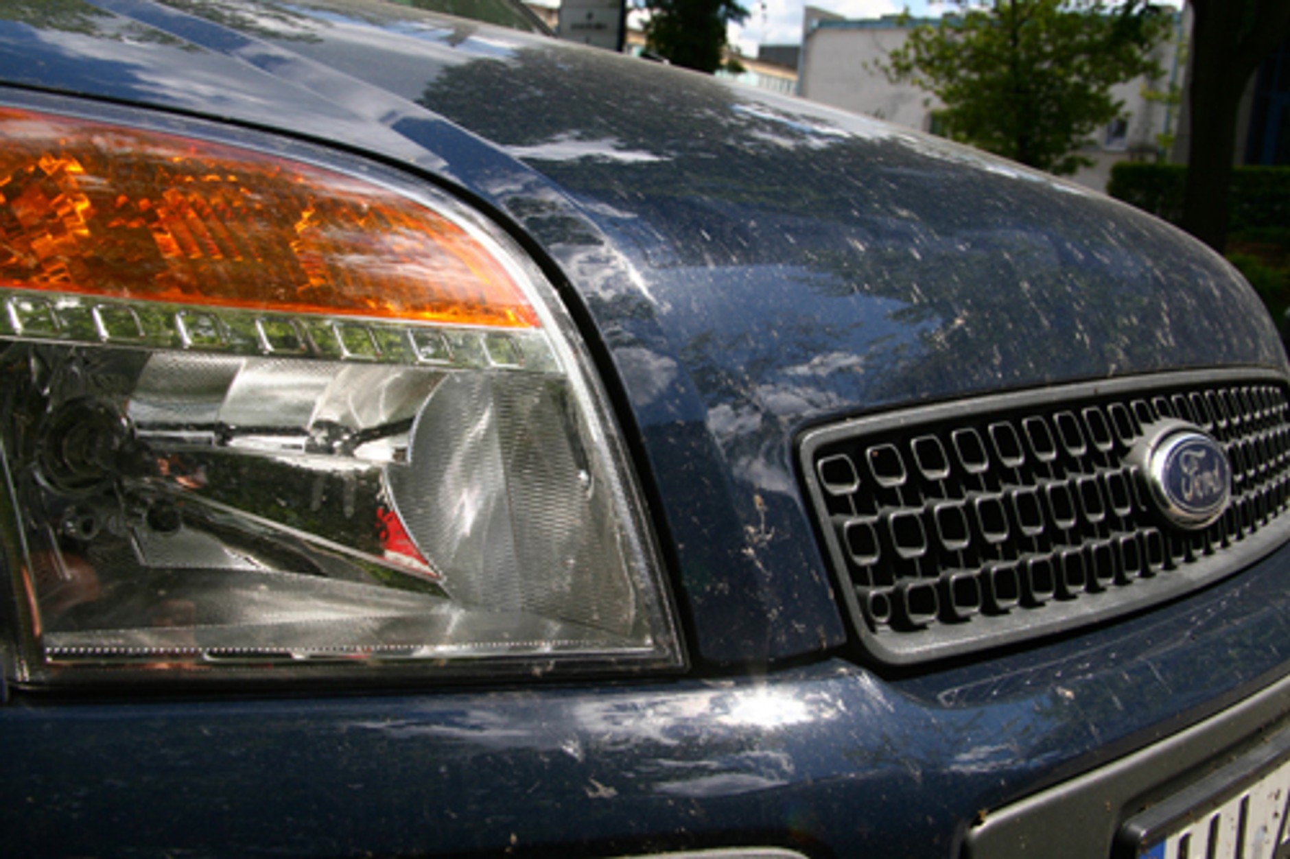 Usun ptasie kupy z lakieru! Zanim zeżrą lakier