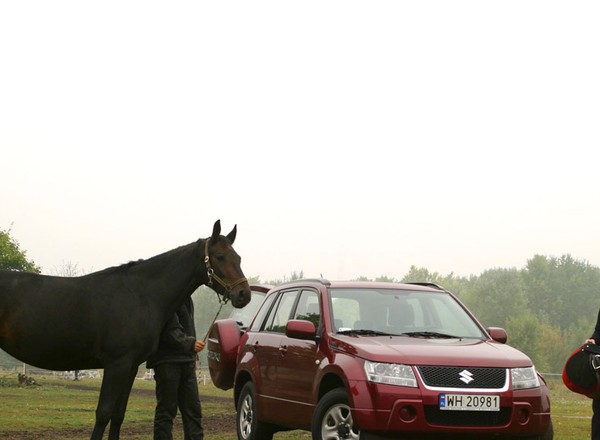 Suzuki Grand Vitara: SUV z genami terenówki