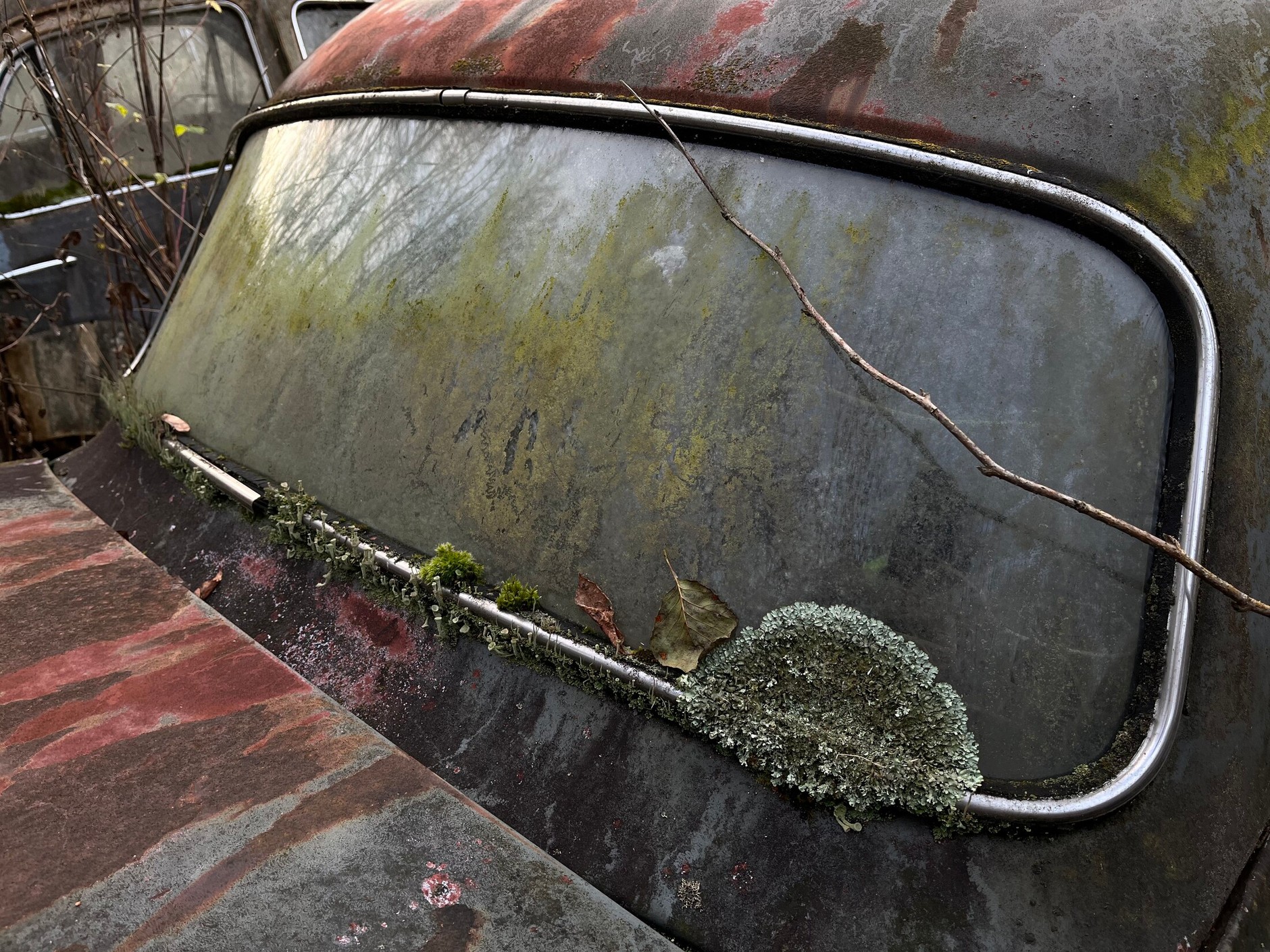 Cmentarzysko samochodów w Bastnas w Szwecji