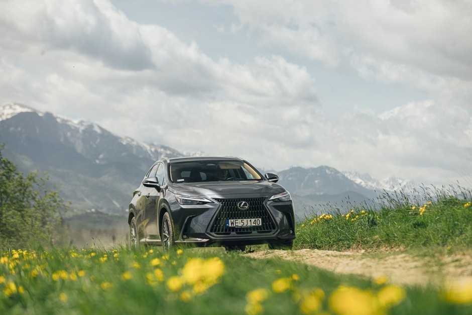 8. Lexus NX: 648 szt.