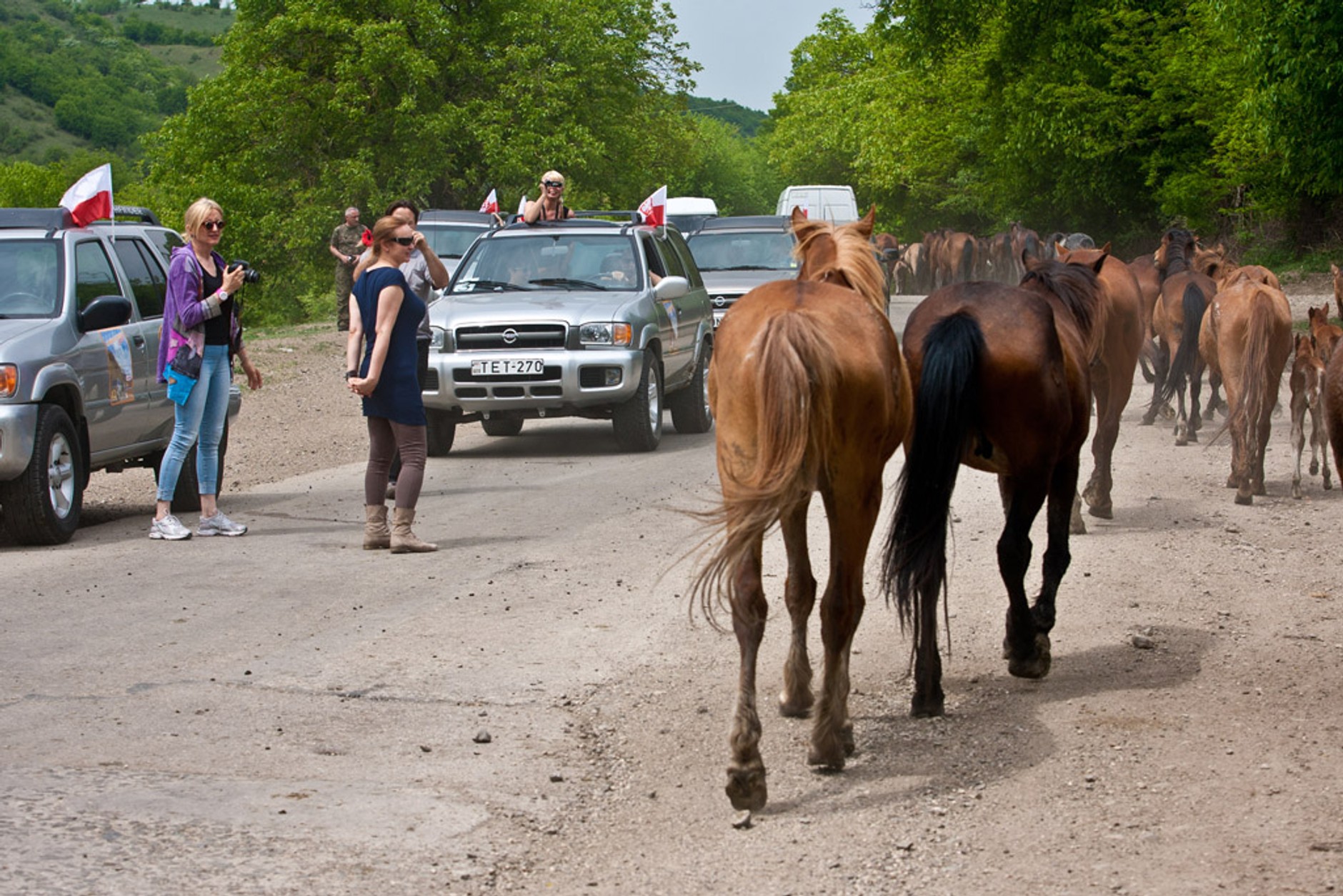 Gruzja Expedition 2012: czyli, wiosna w Gruzji