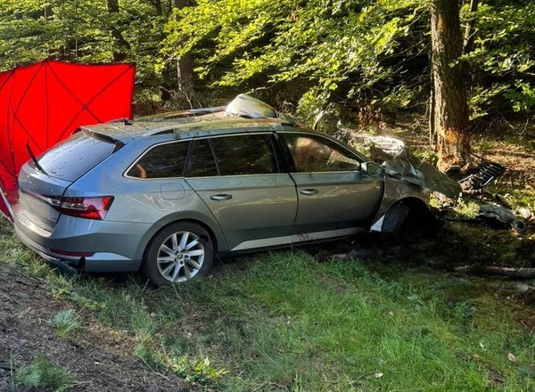 Tragiczny wypadek na DK20. Kierowca zginął po zderzeniu z łosiem