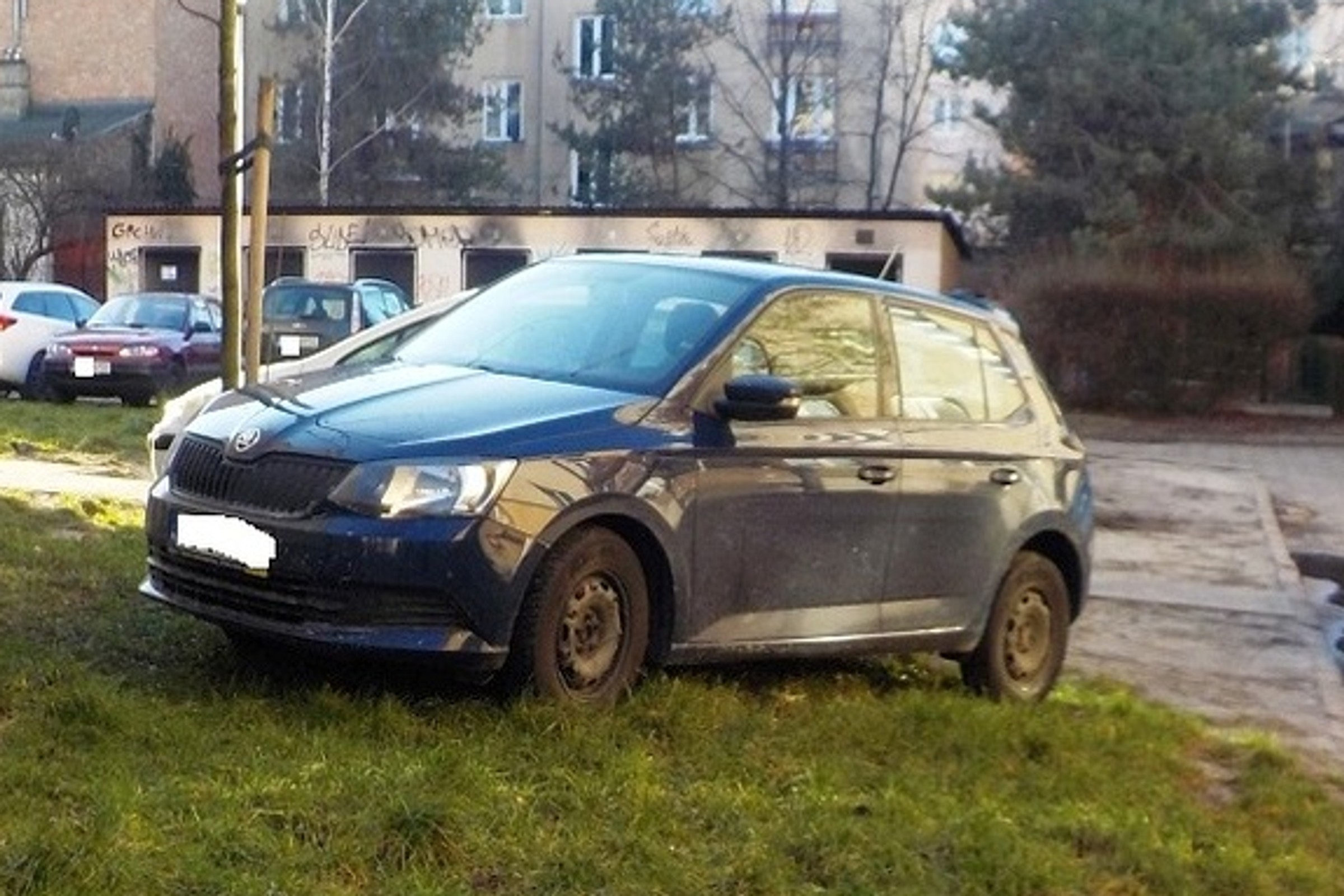 Można parkować na trawniku czy za to jest mandat?