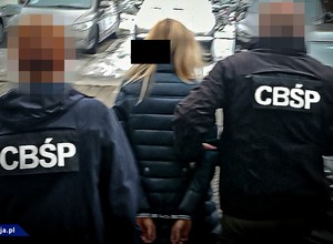 Policja rozbiła gang złodziei samochodów - kradli, legalizowali i je sprzedawali