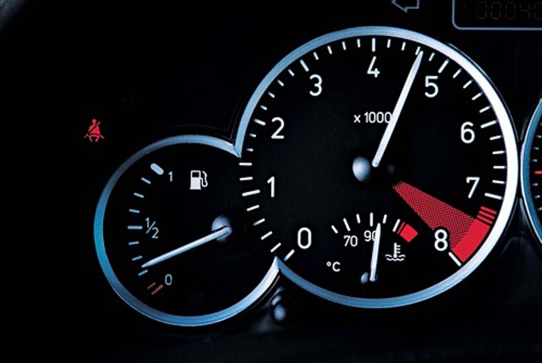 Lew w owczej skórze