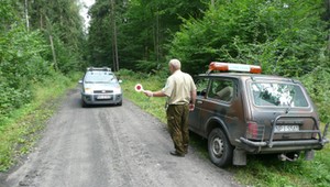 Samochodem w las. Kiedy można wjechać, a kiedy nie?