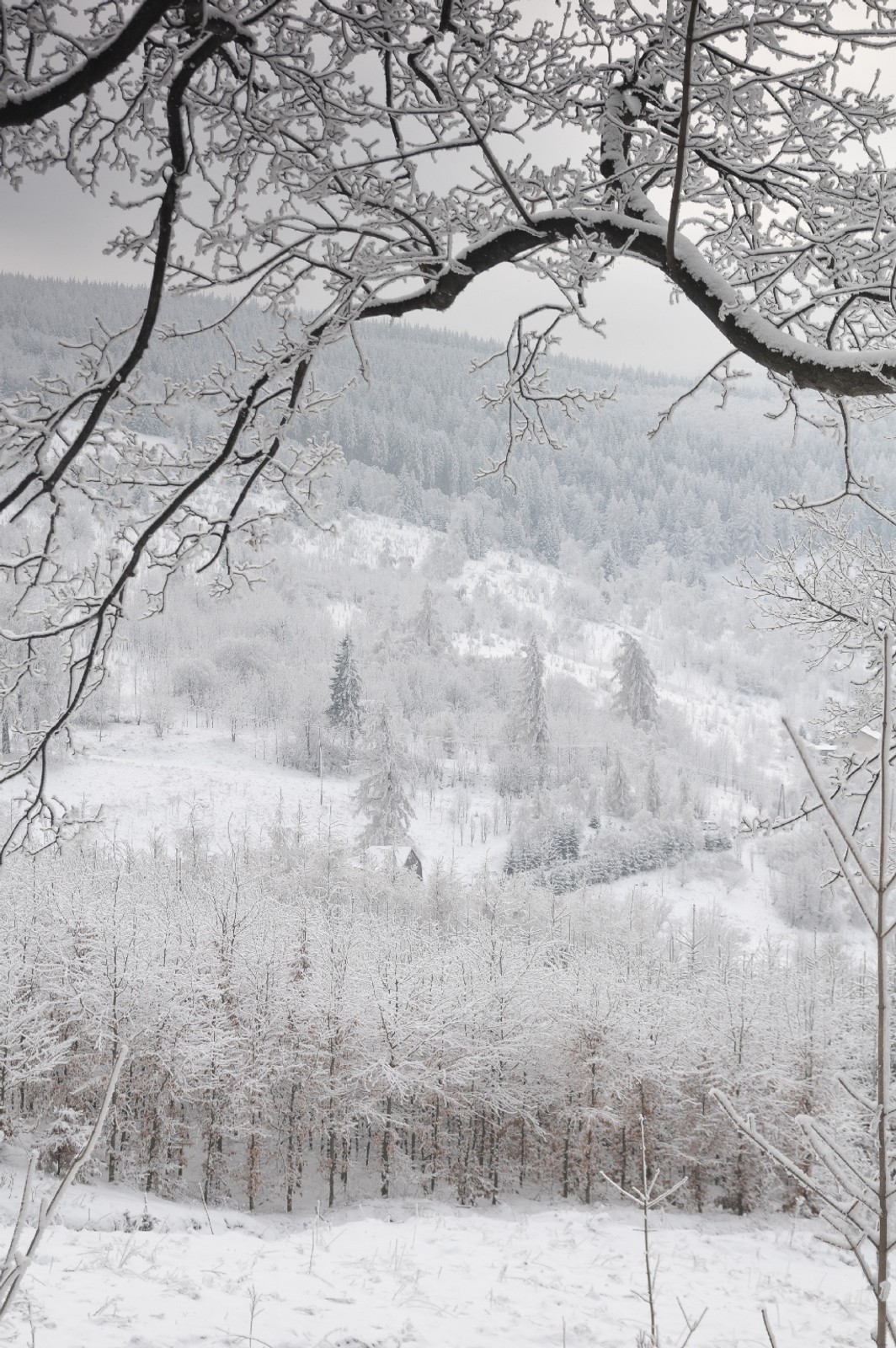 Terenowe zwiedzanie Polski