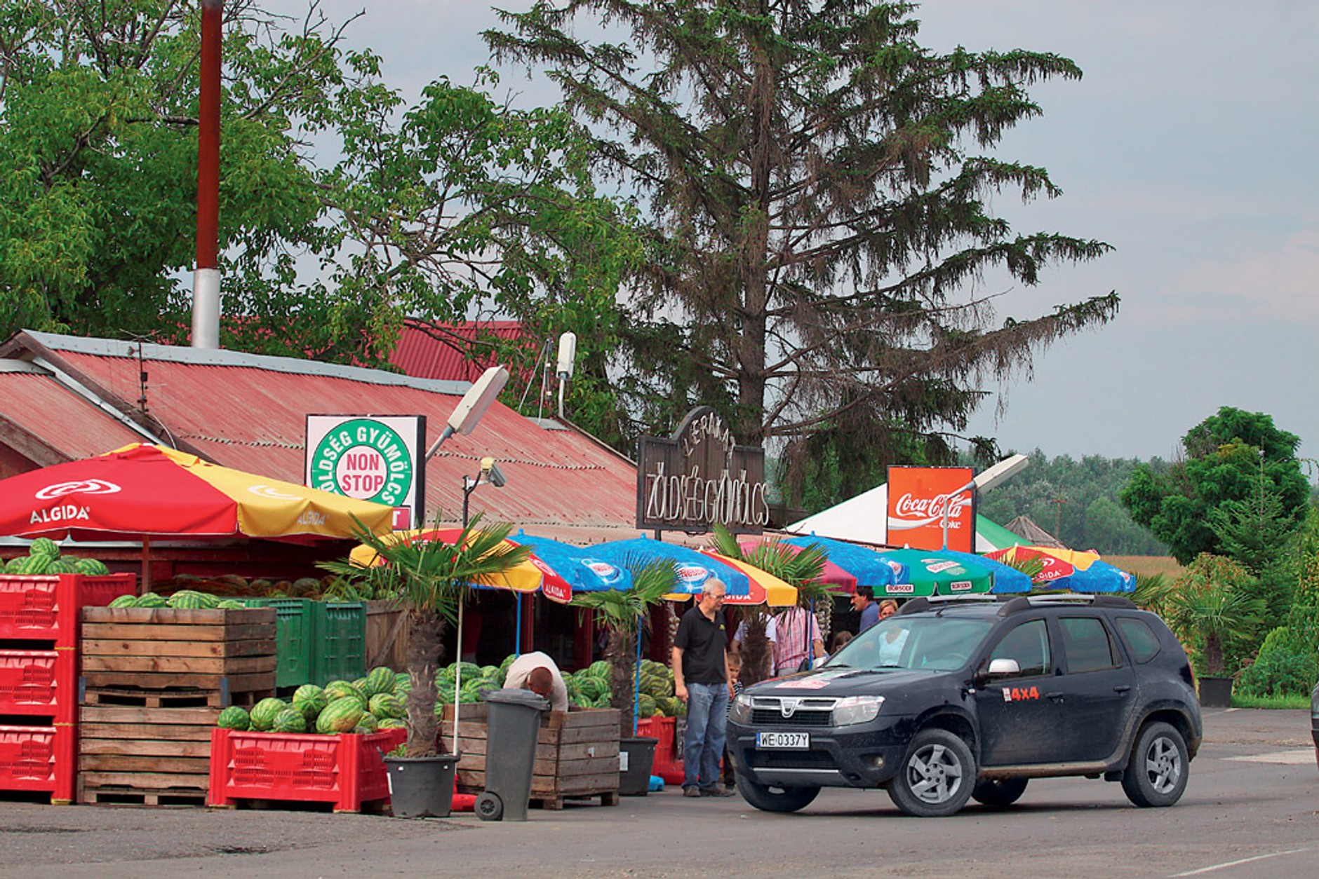 Dacia Duster 1.5 DCI: teren jej nie straszny