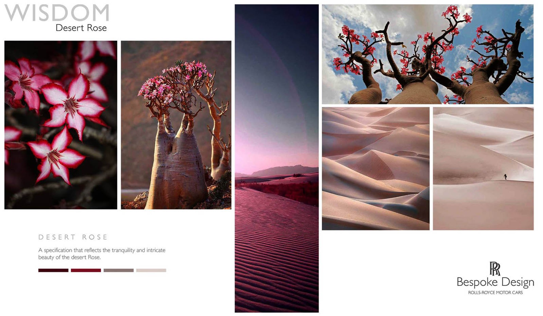 Phantom Drophead Coupe inspirowany pustynną różą