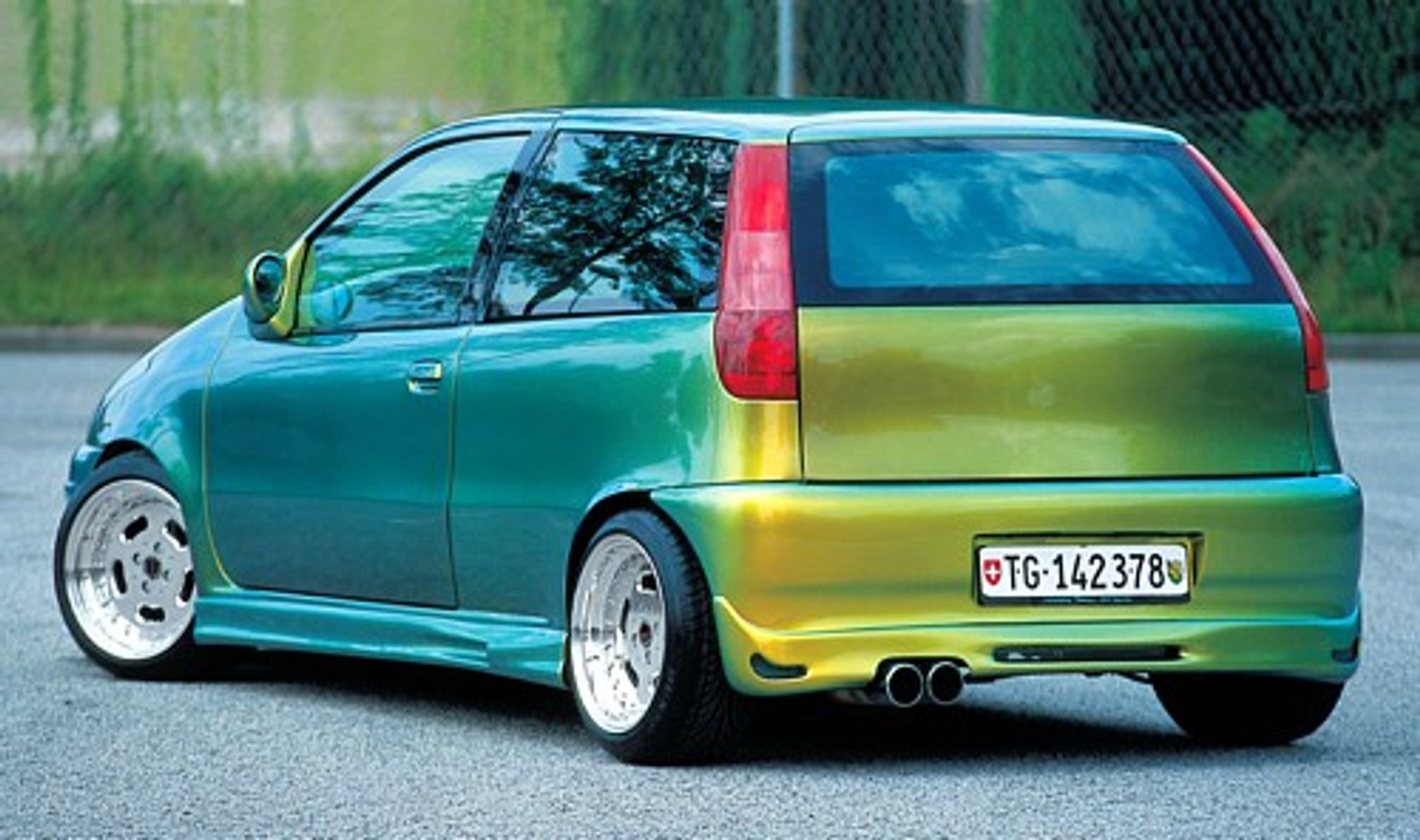 Błyszczący skarabeusz