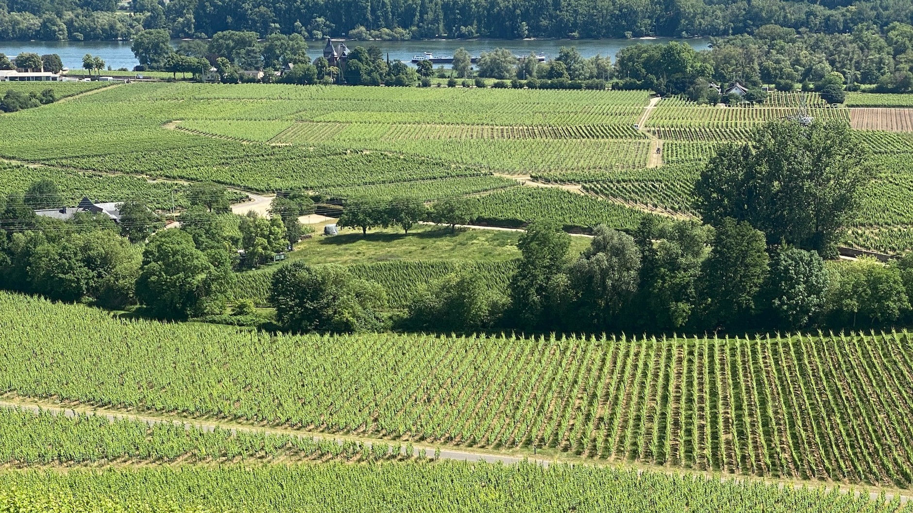 Mazda MX-5 2.0 SkyActiv-G Soft Top (ND, 2022 r.)