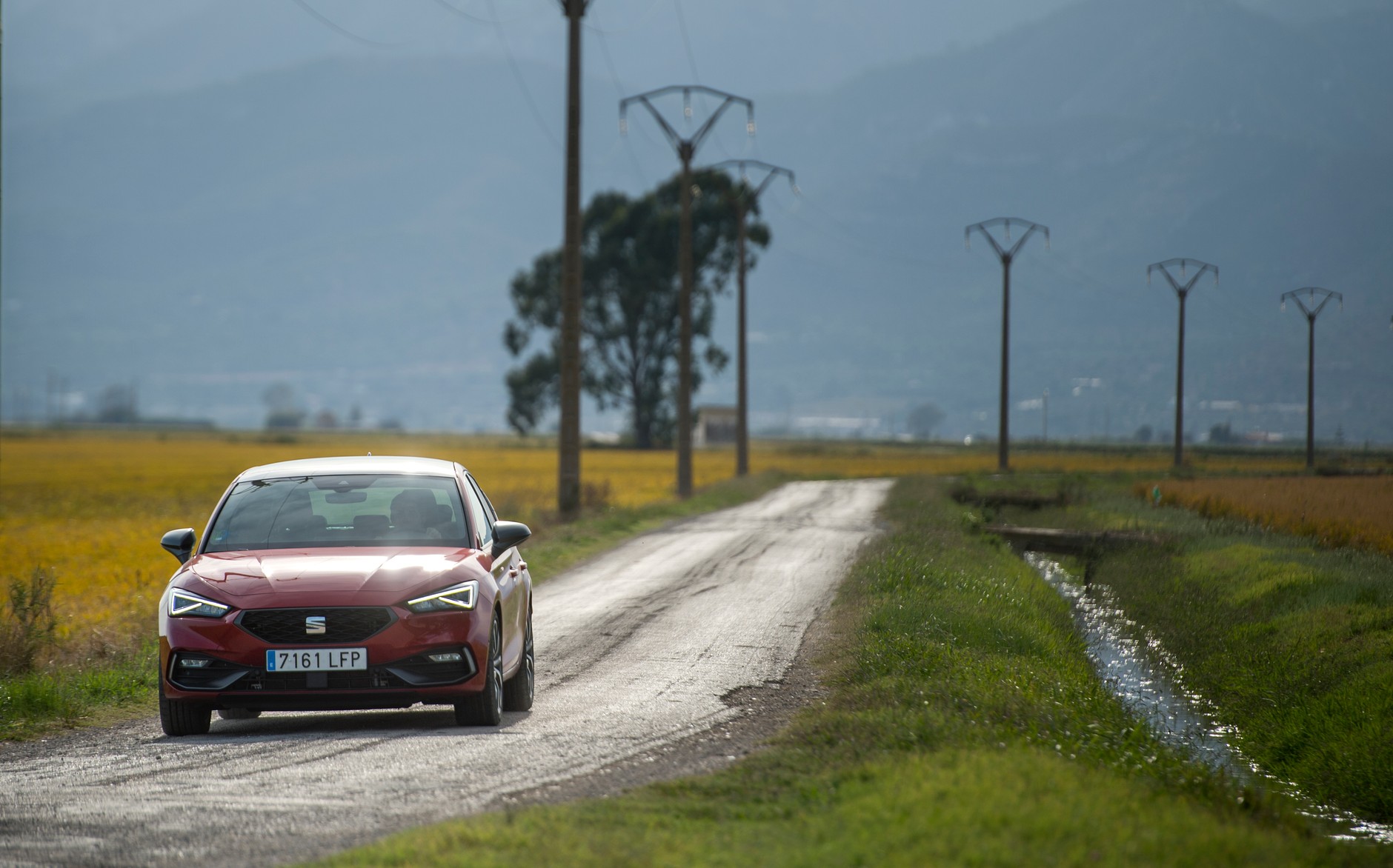 Seat będzie budował swoje auta z... łuski ryżowej