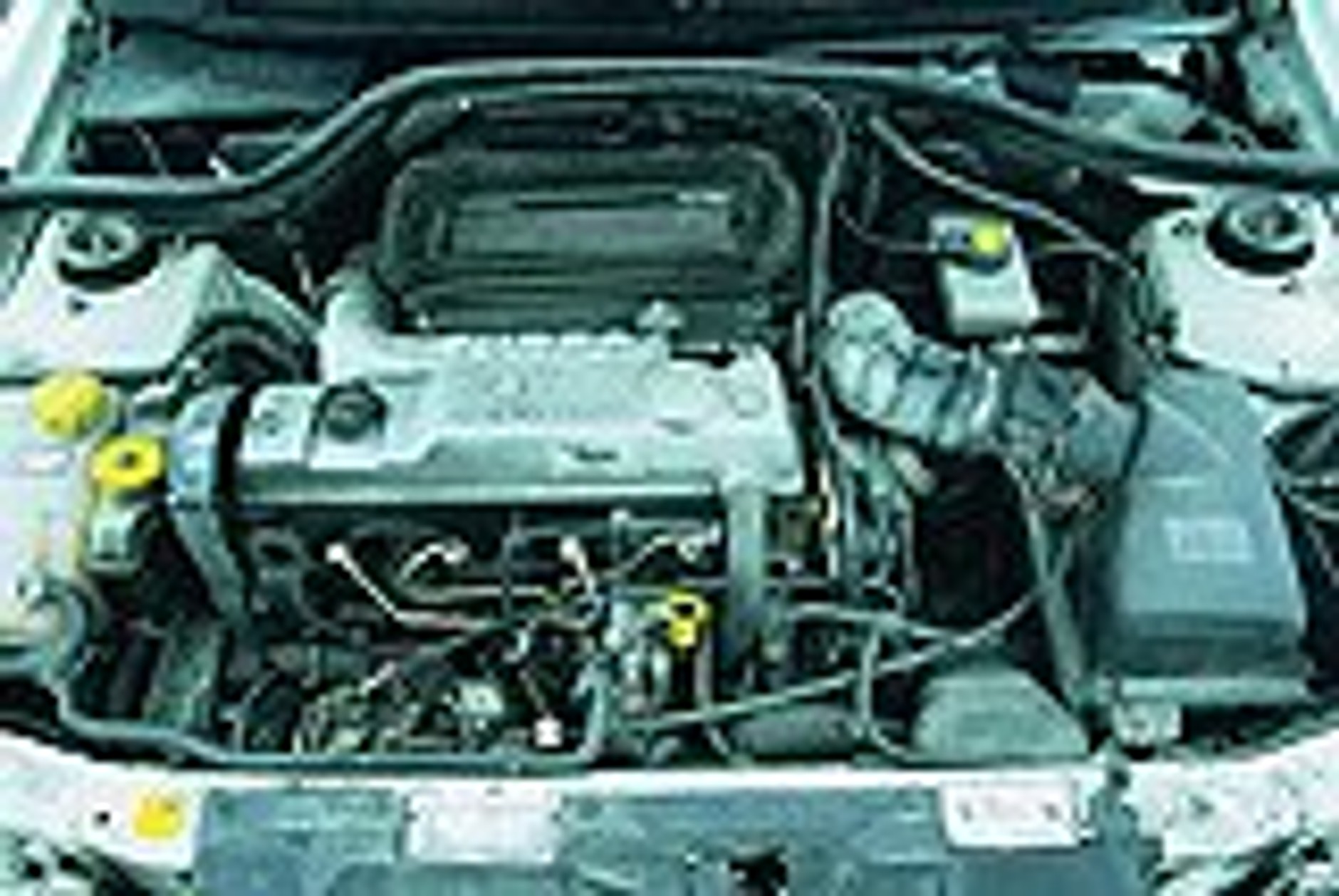 Escort o szerokim uśmiechu