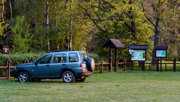 Parking w pobliżu lasu