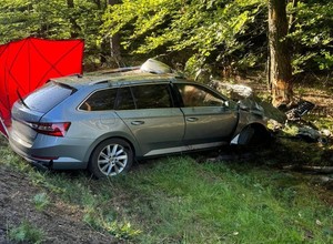 Tragiczny wypadek na DK20. Kierowca zginął po zderzeniu z łosiem