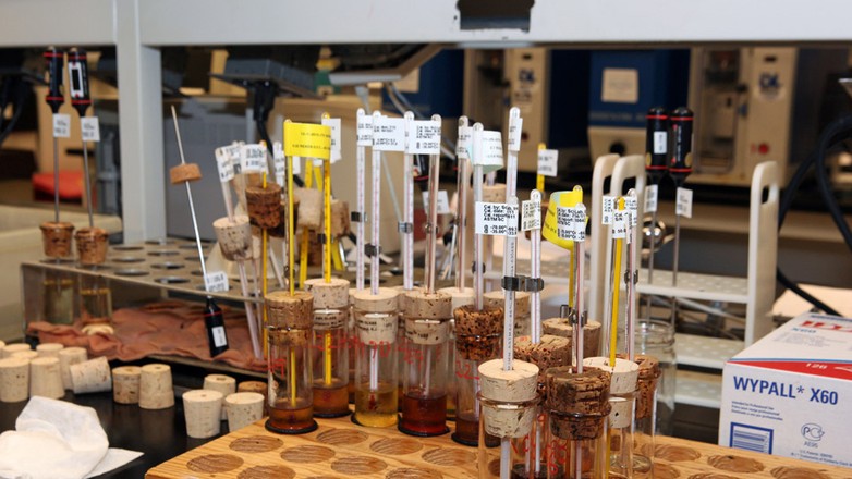 Jak producenci testują olej?