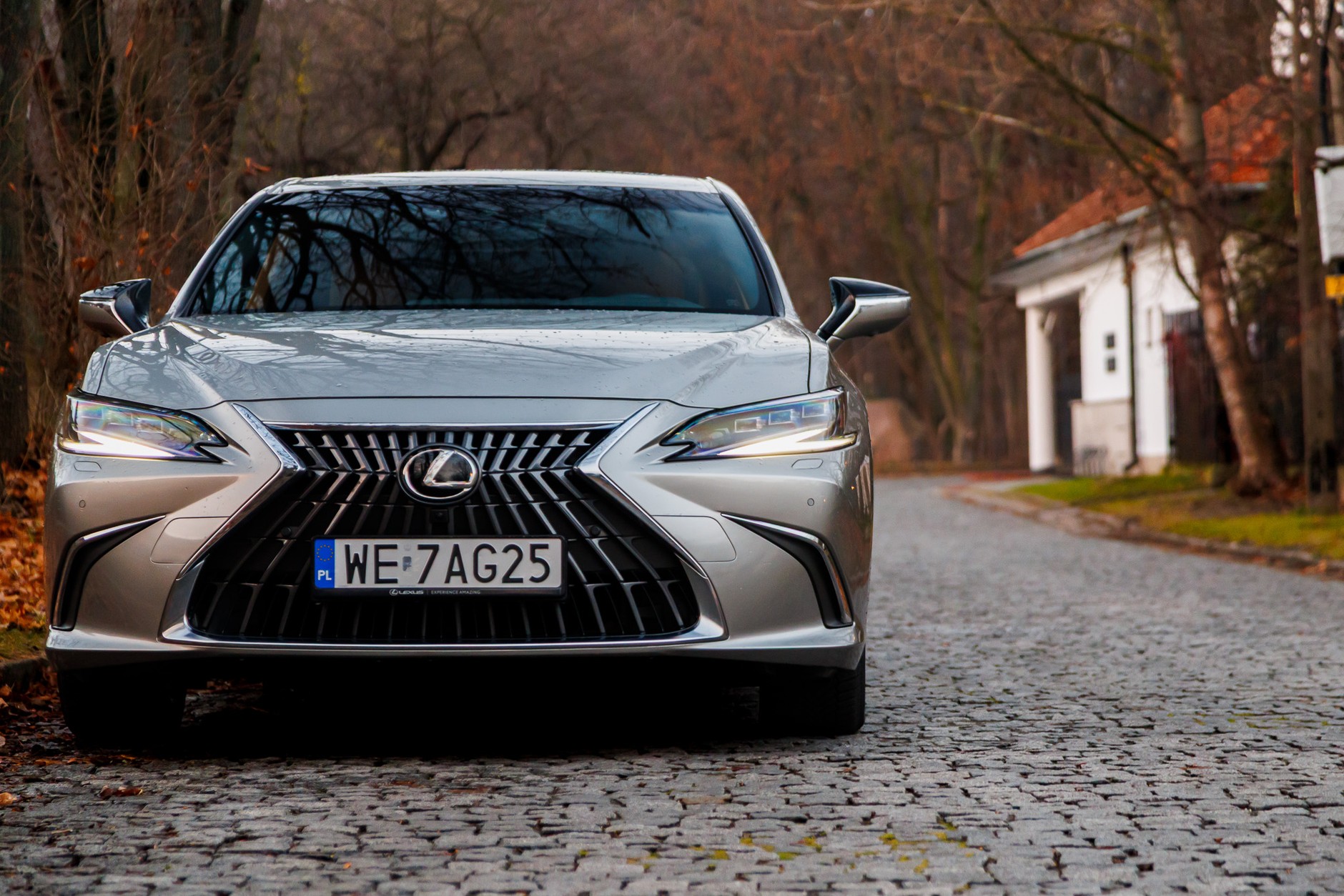 2024 Lexus ES300h