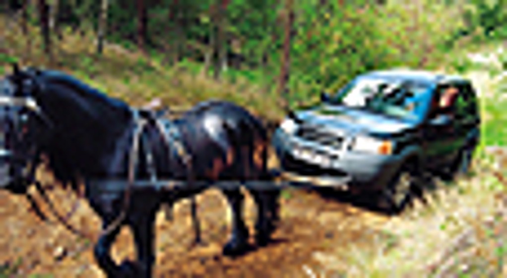 Land rover freelander - Czasem potrzebuje pomocy