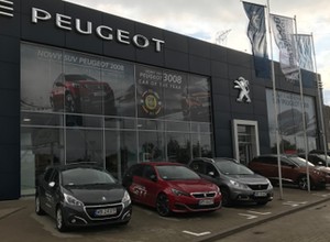 Peugeot Polmot Auto - nowy Rifter, Partner i 508