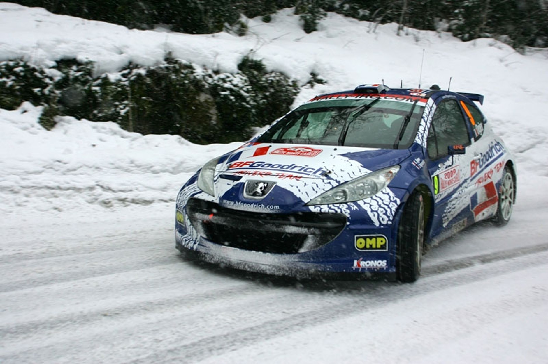 Rajd Monte Carlo 2009: fotogaleria