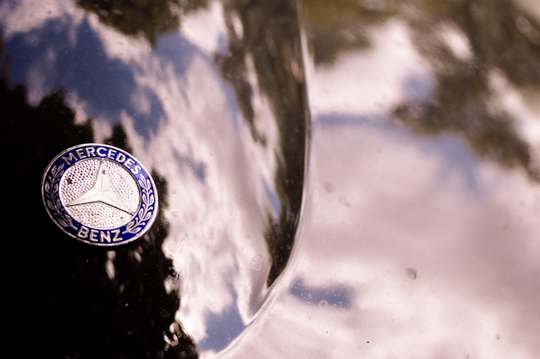 Klasyczne Mercedesy w Wilanowie