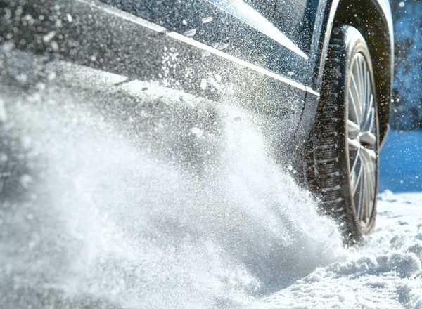 2,5 tys. zł mandatu za nietypowy kulig. Nauczycielka zobaczyła to przez okno