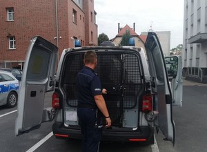 Właściciel tego samochodu powinien podziękować sąsiadowi