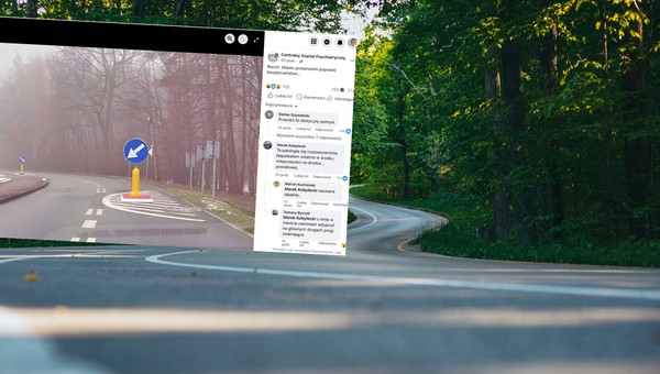 "Szykana" w formie mijanki na jednej z dróg w Polsce