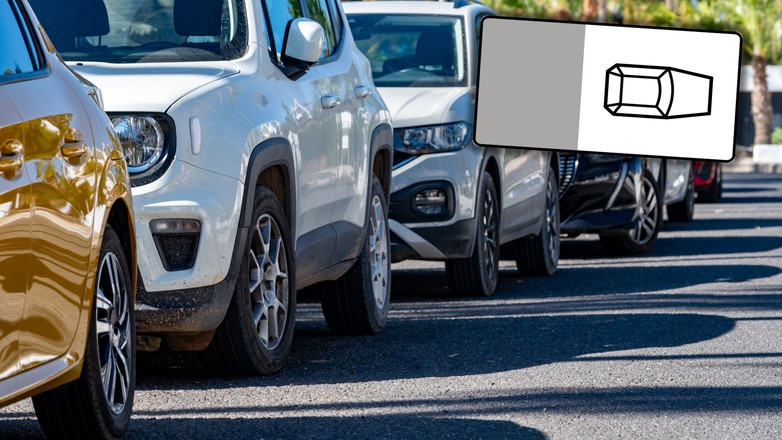 Wśród znaków drogowych w Polsce są takie, które zabraniają parkowania tyłem, ale na chodniku (fot. Wikipedia)