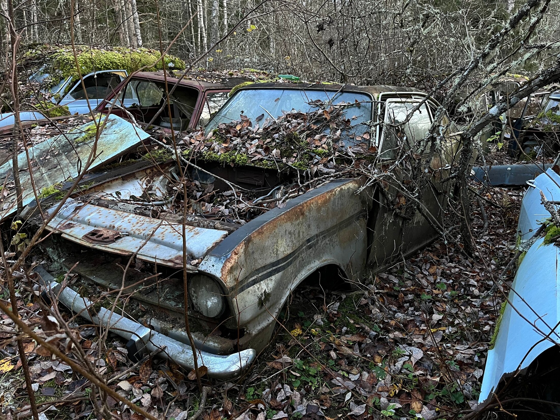 Cmentarzysko samochodów w Bastnas w Szwecji