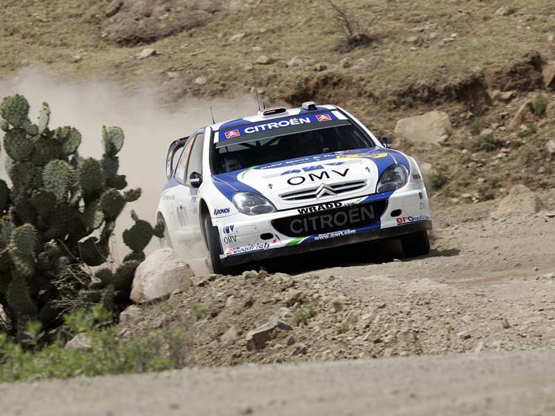 Rajd Meksyku 2007: fotogaleria