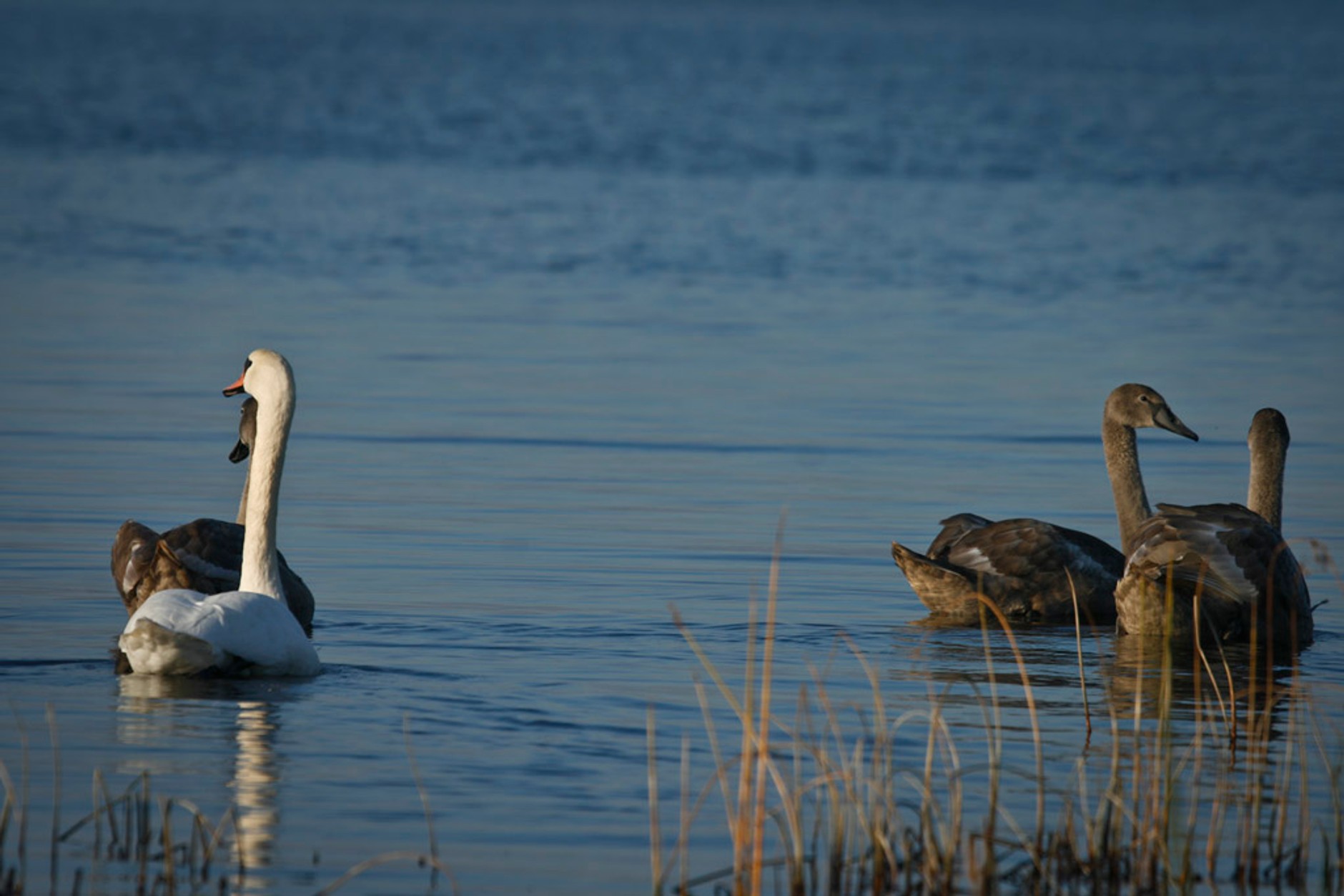 Skodą Yeti i rowerem wzdłuż wybrzeża