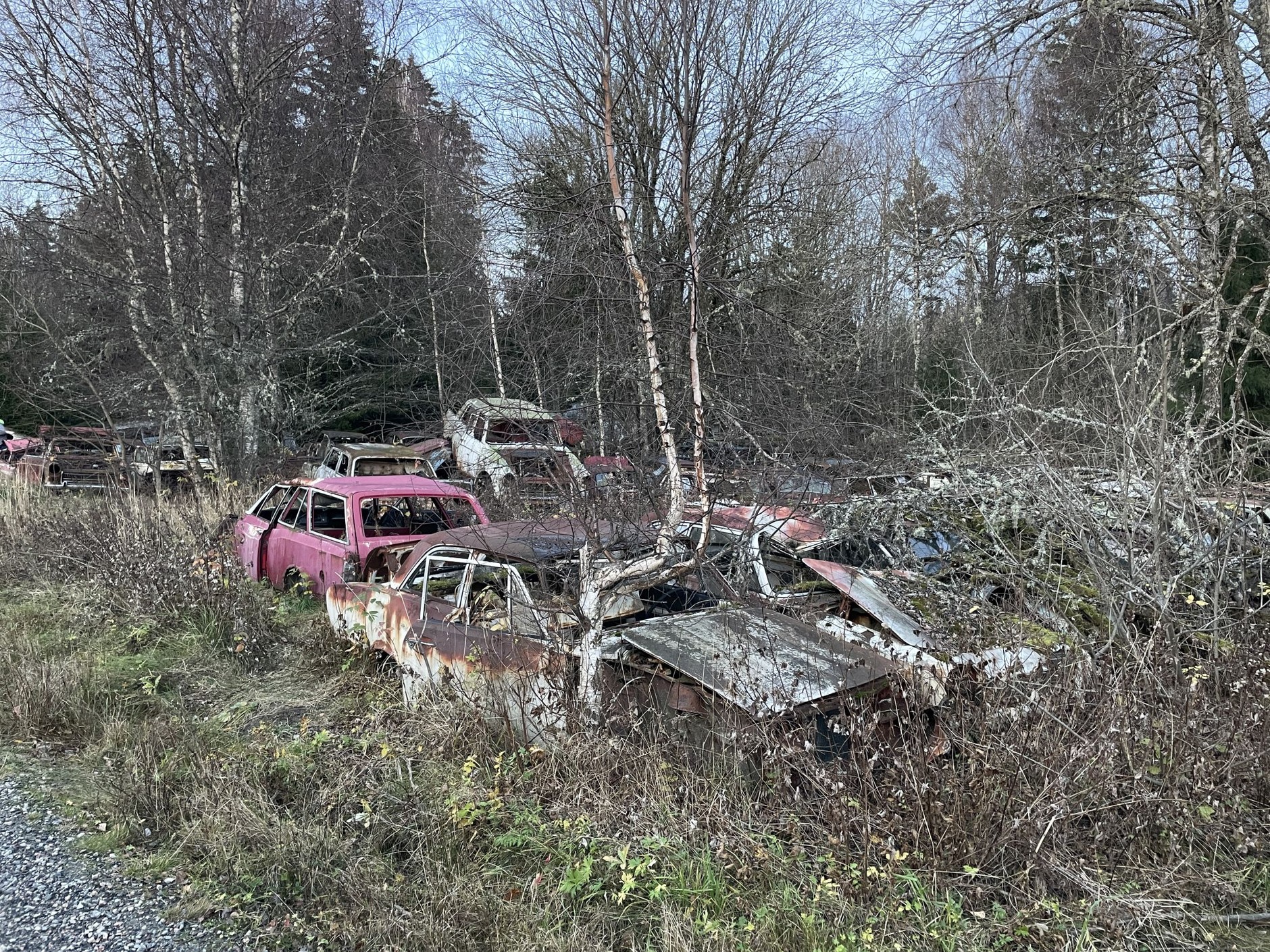 Cmentarzysko samochodów w Bastnas w Szwecji