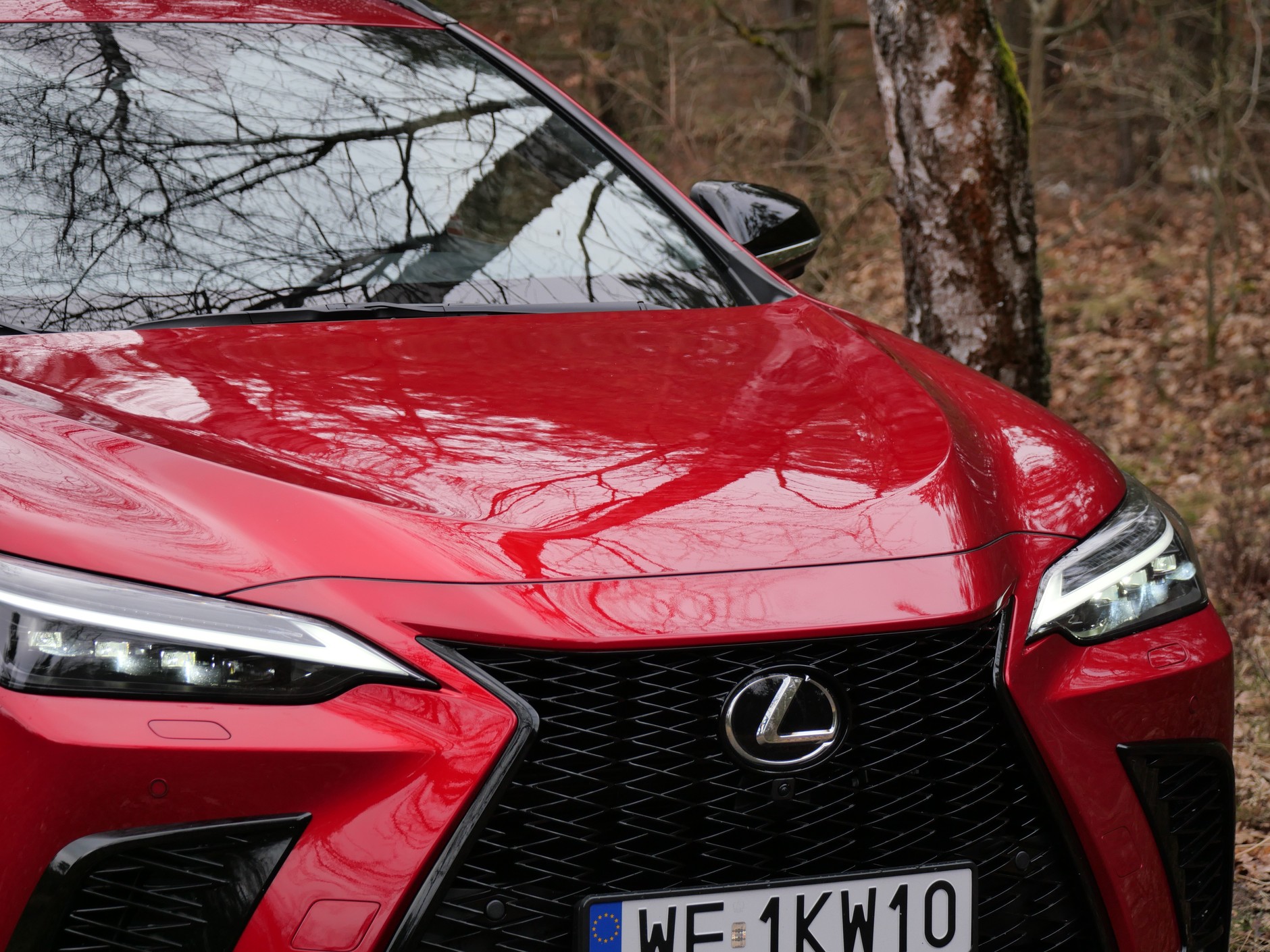 Lexus NX 450H+ F Sport