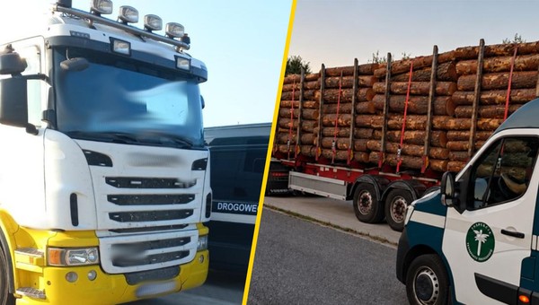 Inspektorzy ITD zatrzymali transport jak z "Oszukać Przeznaczenie"