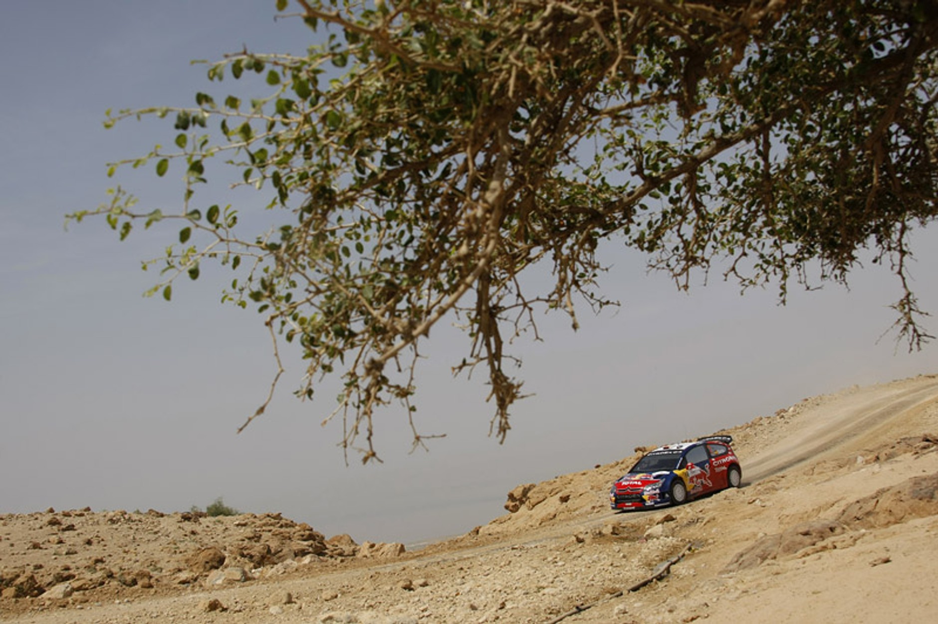 Rajd Jordanii 2007: Mikko i Ford liderami mistrzostw