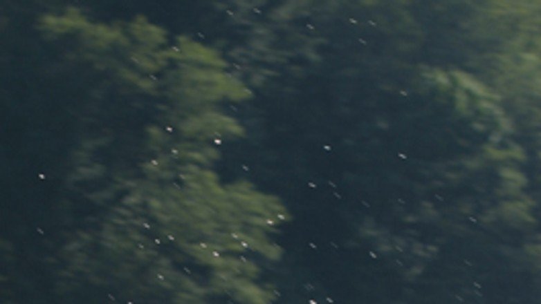 Mamy Mistrza off-roadu!