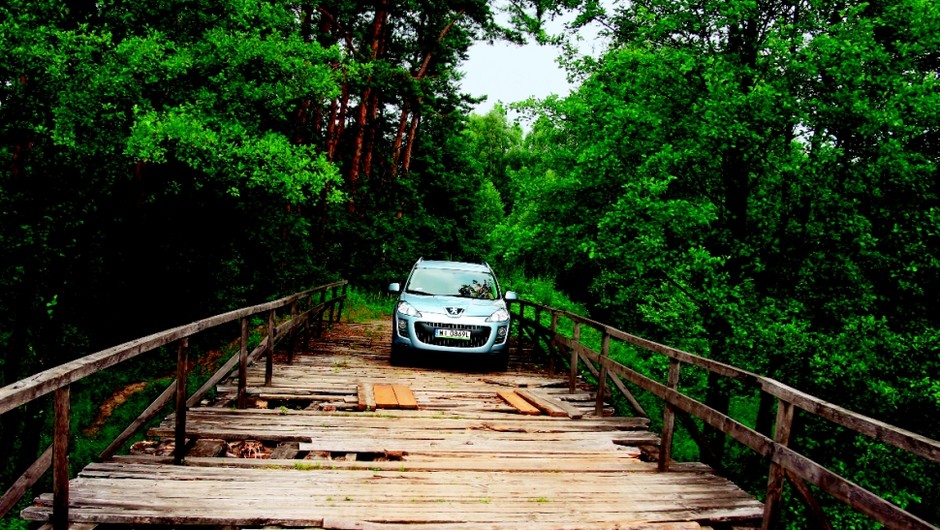 Turystyka - Lasy Janowskie z Peugeotem 4007