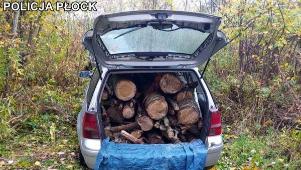 Napakował drewna do samochodu. Wpadł na gorącym uczynku