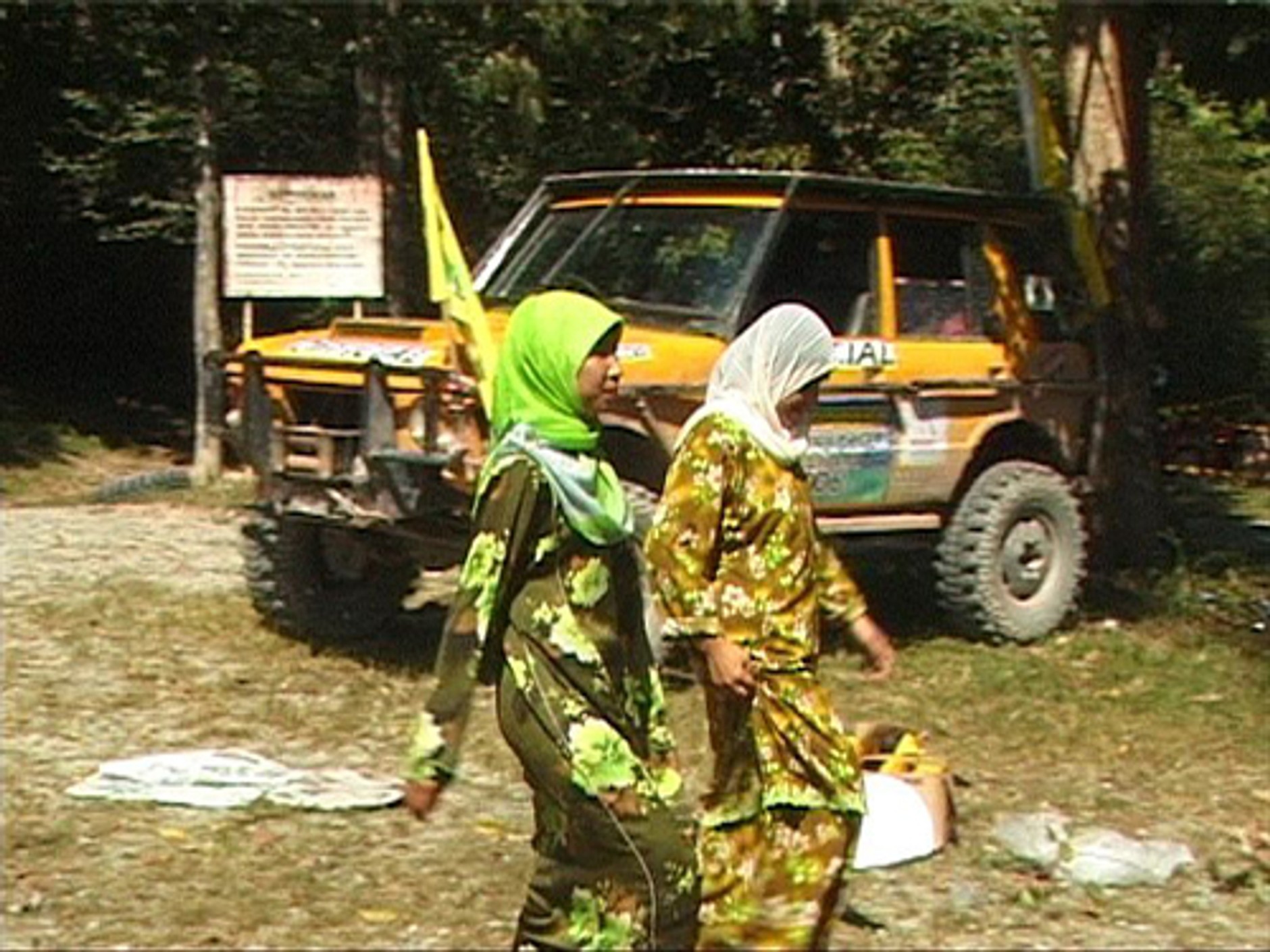 Rainforest Challenge