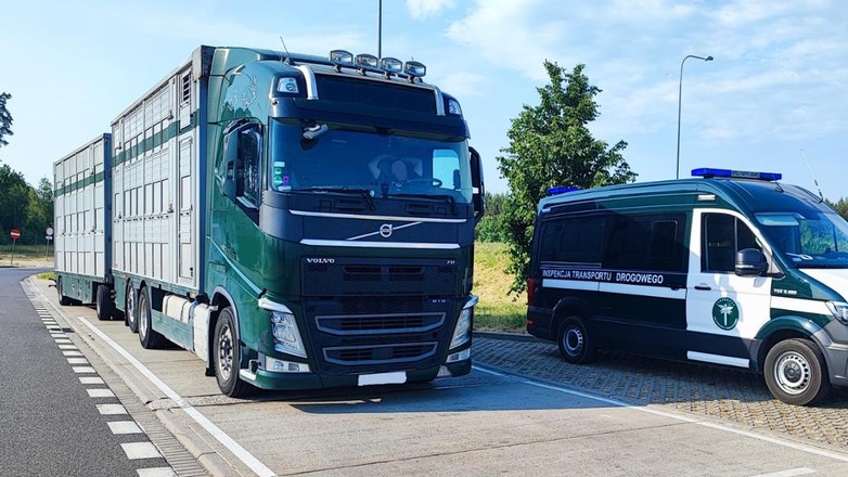 Inspektorzy ITD wysłali kierowcę zestawu na przymusowy urlop