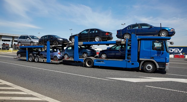 Co i czym najczęściej transportują Polacy? Rejestracje w 2021 r.