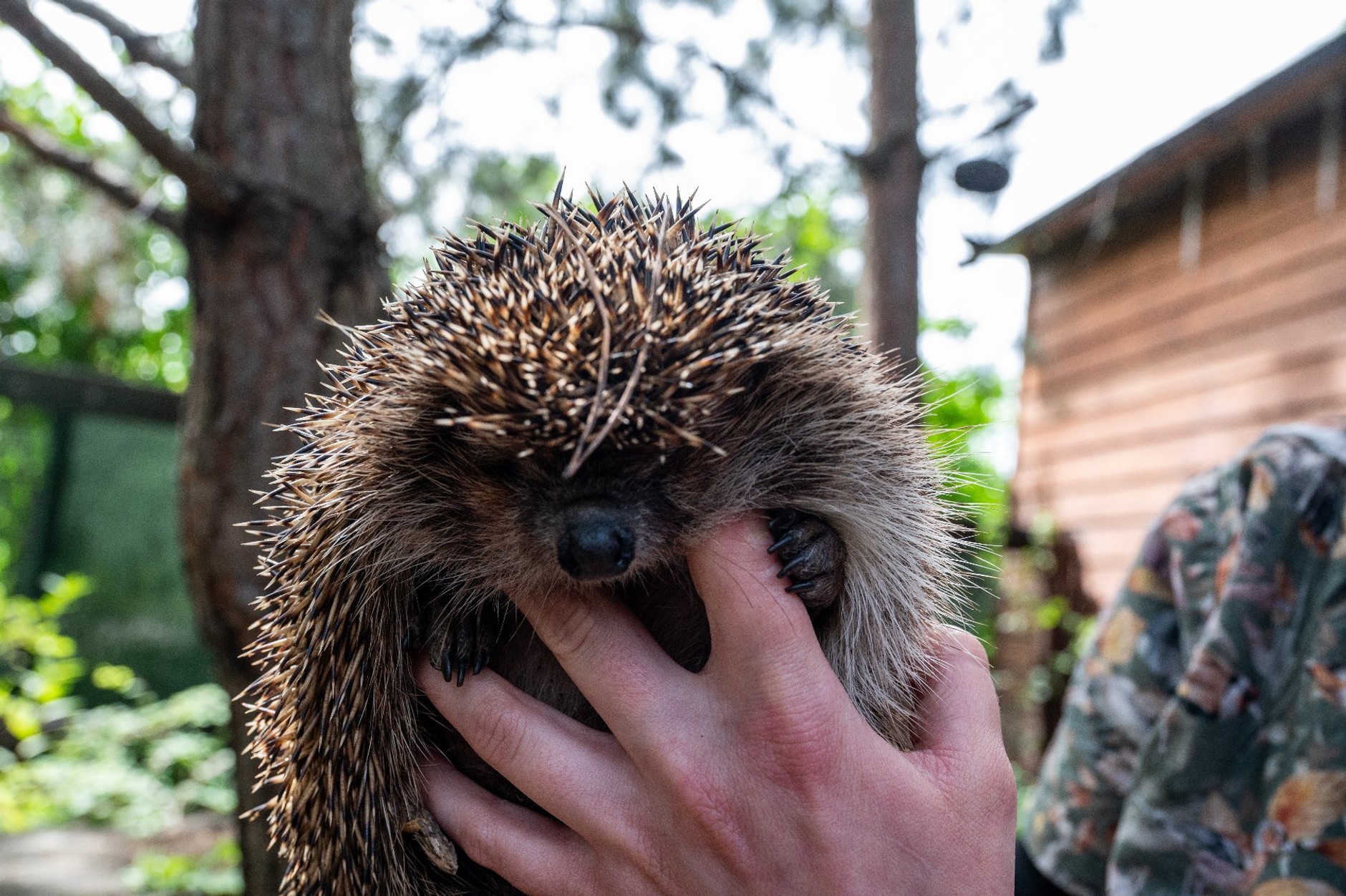 W radiowozach pojawiły się inkubatory. Posłużą specjalnym celom